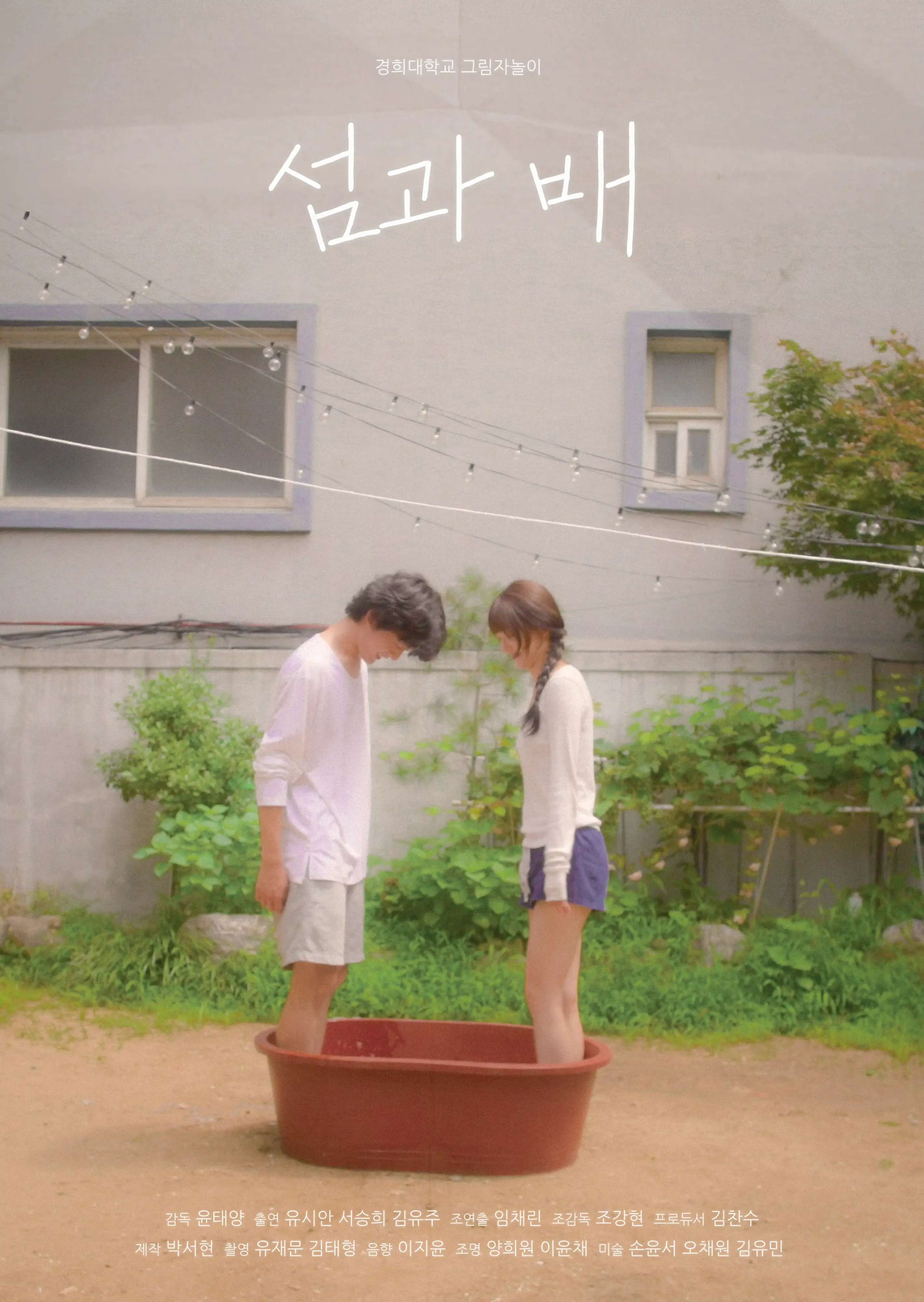 섬과 배
